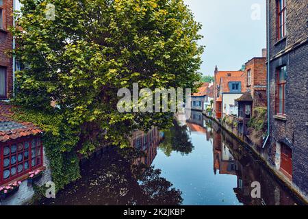 Bateau de tourisme dans le canal. Bruges, Belgique Banque D'Images