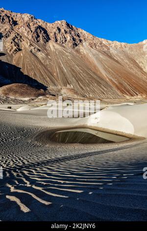 Dunes de sable dans l'Himalaya Banque D'Images