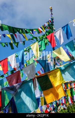 Drapeaux bouddhistes de prière lunga à McLeod Ganj, Himachal Pradesh, Inde Banque D'Images