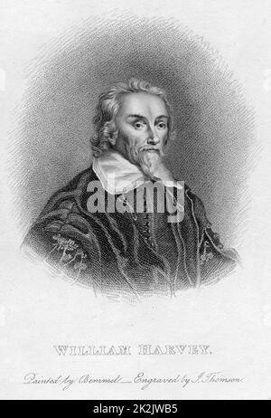 William Harvey (1578-1657) Physicien anglais : la circulation du sang. Gravure Banque D'Images