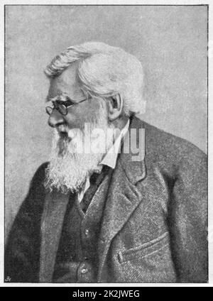 Alfred Russel Wallace (1823-1913), c1895. Naturaliste gallois dont les mémoires, que Darwin a vu, en 1858, causé de Darwin à modifier sa théorie de l'évolution. Banque D'Images