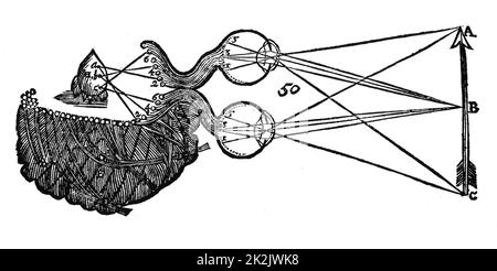 Diagramme illustrant l'idée de Descartes de vision, montrant la fonction de l'œil, le nerf optique et le cerveau. De René Descartes 'Opera' Philiosophica, Frankfurt-am-Main, 1692. Gravure sur bois Banque D'Images