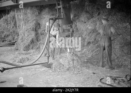 La paille en balles pour être utilisé pour la fabrication de carton paille à Container Corporation d'Amérique centrale, Circleville, Ohio. 1938 Date de l'été. Banque D'Images