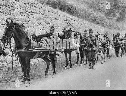 La Première Guerre mondiale 1914-1918 : les soldats austro-hongrois avec chevaux armés de fusils. Première bataille de l'Isonzo, 23 juin-7 juillet 1915, Banque D'Images