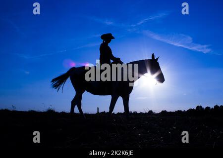 Silhouette de cowgirl à cheval au coucher du soleil en bleu (12) Banque D'Images