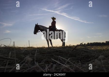 Silhouette de cowgirl à cheval au coucher du soleil Banque D'Images