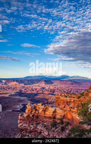 La Sal Mountiains, le canyon de la baie de Gooseberry et le plateau blanc de la baie de Gooseberry surplombent, parc national de Canyonlands, Utah. Banque D'Images