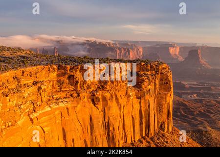 Sunrise and low clouds on the mesa of the Island in the Sky District of Canyonlands National Park, Moab, Utah.  Viewed from the Buck Canyon Overlook. Stock Photo