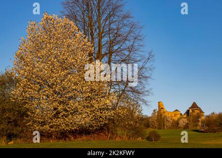 Château de Lipnice nad Sazavou, région de Vysocina, République Tchèque Banque D'Images