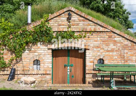 Caves à vin et vignoble dans la région de Palava, Moravie du Sud, République tchèque Banque D'Images