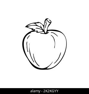 Apple fines lignes noires sur fond blanc - Vector Banque D'Images