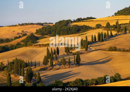 Cipressi di Monticchielo, paysage toscan typique près de Montepulciano, Italie Banque D'Images