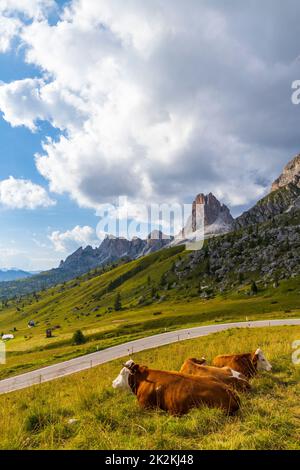 Paysage près de Passo Giau dans les Dolomites, Italie Banque D'Images