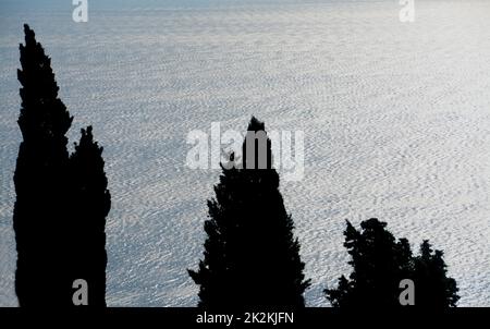 Silhouettes de cyprès devant les réflexions infinies de la mer Ligurienne. Banque D'Images