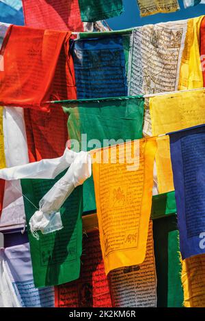 Drapeaux bouddhistes de prière lunga à McLeod Ganj, Himachal Pradesh, Inde Banque D'Images