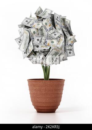 Usine d'argent dans le pot. 100 dollars de factures sur l'usine. 3D illustration Banque D'Images