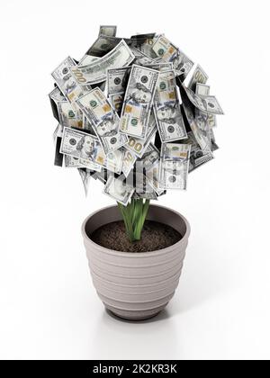 Usine d'argent dans le pot. 100 dollars de factures sur l'usine. 3D illustration Banque D'Images