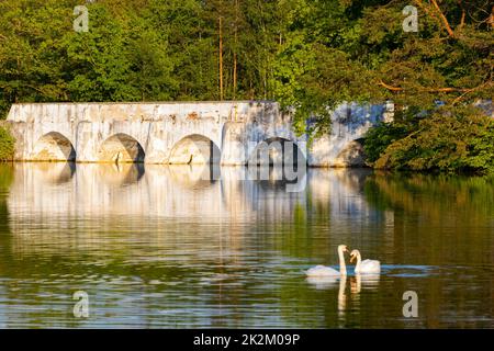 Ancien pont en pierre au-dessus de l'étang de Vitek, Nova Hlina près de Trebon, Jindrichuv Hradec, Bohême du Sud, République tchèque Banque D'Images