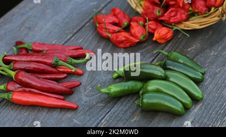 Peppers frais en plein air sur le marché agricole rural, Jalapeno, Cayenne et Bhut Jolokia Banque D'Images