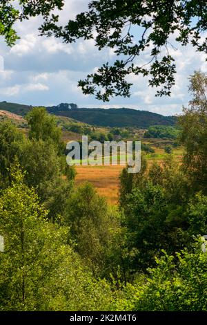 Beauté de la nature. La beauté de la nature - Parc National de Rebild, Jutland, Danemark,. Banque D'Images