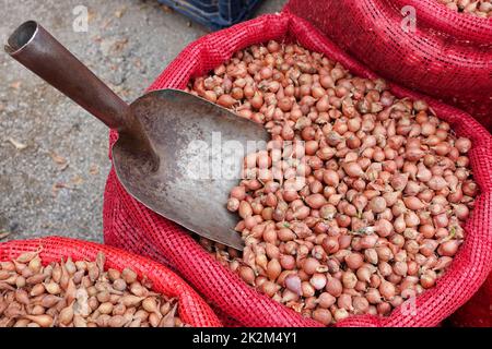 Oignons échalotes non emballés vendus dans des sacs en tissu, graines d'échalotes pour la plantation dans le jardin Banque D'Images