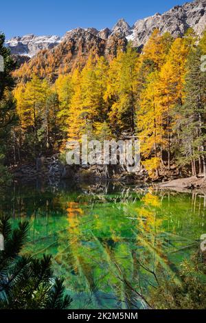 hautes-alpes-05-n-vache-vall-e-de-l-etroite-et-le-mont-thabor-la