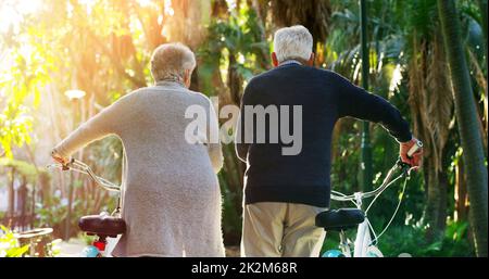 Où allons-nous nous rendre cher. Vue arrière d'un couple âgé qui pousse ses vélos ensemble à l'extérieur dans un parc. Banque D'Images