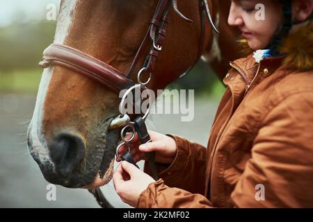 Theres jamais une bonne raison de ne pas conduire. Photo d'une adolescente se préparant à monter son poney dans une ferme. Banque D'Images