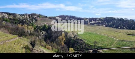 La beauté des collines de Langhe dans le Piémont pendant la floraison printanière. Banque D'Images