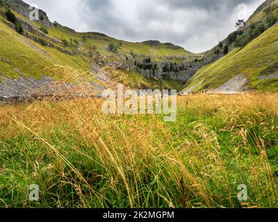 Long grass blowing in the wind in the limestone ravine of Gordale Scar Malhamdale Yorkshire Dales North Yorkshire England Stock Photo