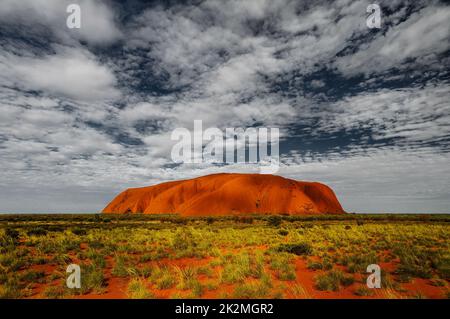 Célèbre Uluru dans le désert d'Australie centrale. Banque D'Images