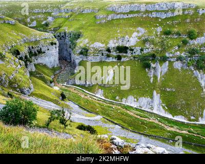 En regardant vers le bas dans le ravin calcaire de Gordale cicatrice Malhamdale Yorkshire Dales North Yorkshire Angleterre Banque D'Images