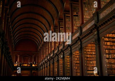 Cette bibliothèque est remplie aux chevrons. Photo rognée d'une grande bibliothèque vintage pleine de livres. Banque D'Images