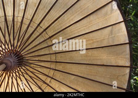 Parapluie en papier de style asiatique vintage gros plan avec du bambou en arrière-plan Banque D'Images