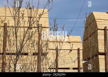 Transport de bois haché, planches par chemin de fer. Écologie. Banque D'Images