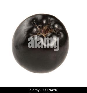 Seul aronia chokeberry (Berry) isolé sur fond blanc. Banque D'Images