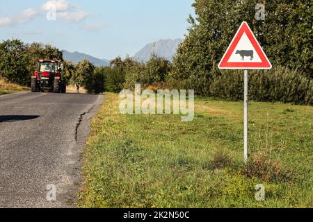 Liptovsky Hradok, Slovaquie - 22 août 2018: Attention vaches traversant le panneau, à côté de la route avec tracteur à venir, campagne, collines et montagnes à distance. Banque D'Images