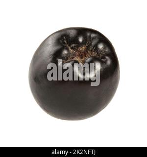 Photo Gros plan - simple aronie petite baie fruit isolé sur fond blanc. Banque D'Images