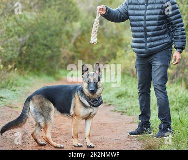 N'y allez pas, flânez et explorez. Photo d'un homme méconnaissable jouant avec son adorable berger allemand au parc. Banque D'Images