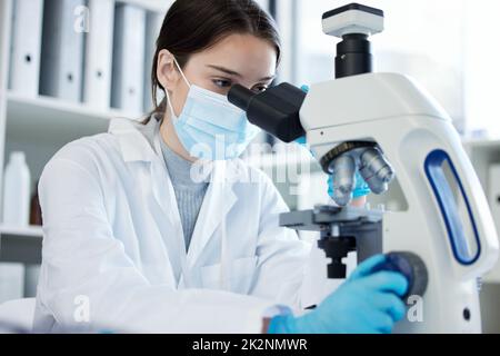 Plonger plus loin dans ses recherches. Prise de vue d'une jeune femme utilisant un microscope dans un laboratoire. Banque D'Images