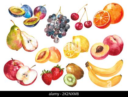 Composition aquarelle de divers fruits sur fond blanc. Banque D'Images