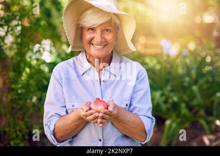 Je pense que mal faire un peu de confiture de grenade avec cela. Photo d'une femme âgée tenant une grenade fraîchement cueillie dans son jardin. Banque D'Images