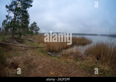 Paysage naturel. Lac de Senftenberg par temps nuageux. Etat fédéral de Brandebourg. Allemagne. Banque D'Images