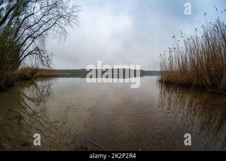 Paysage naturel. Lac de Senftenberg par temps nuageux. Etat fédéral de Brandebourg. Allemagne. Banque D'Images