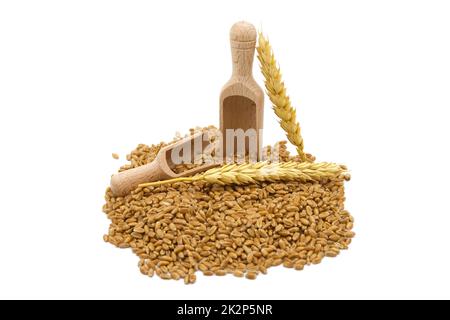 Graines de blé et deux pelles en bois Banque D'Images