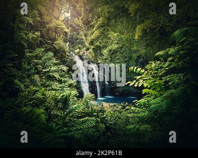 Upper Waikani Falls ou Three Bears Waterfalls, la route de Hana à Hawaï. Cascade dans la jungle au milieu de la végétation verte tropicale. Scène merveilleuse dans la forêt tropicale dense hawaïenne avec plantes de fougères mixtes Banque D'Images