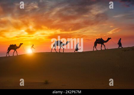 Caméléers indiens chauffeur de chameau avec silhouettes de chameau dans les dunes au coucher du soleil. Jaisalmer, Rajasthan, Inde Banque D'Images