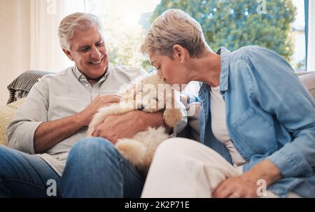 Love, relax and retirement couple with dog pet on living room sofa together in house. Senior, happy and married caucasian people enjoy bonding with an Stock Photo