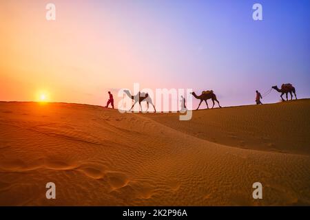 Caméléers indiens chauffeur de chameau avec silhouettes de chameau dans les dunes au coucher du soleil. Jaisalmer, Rajasthan, Inde Banque D'Images