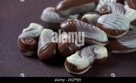 Bonbons au chocolat traditionnels aux coquillages belges. Bonbons au chocolat au lait belge en forme de coquillages avec palourdes, hippocampes Banque D'Images